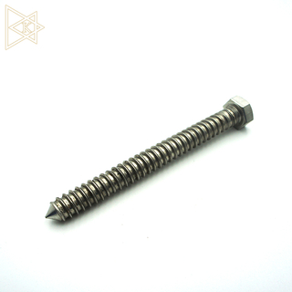 Stainless Steel Hex Head Lag Screw With Full Thread
